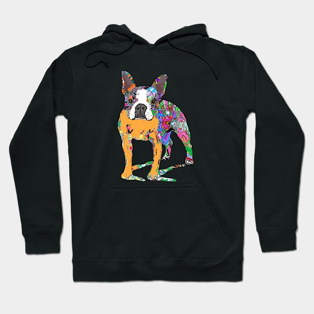 Boston Terrier Graffiti Hoodie by rlnielsen4